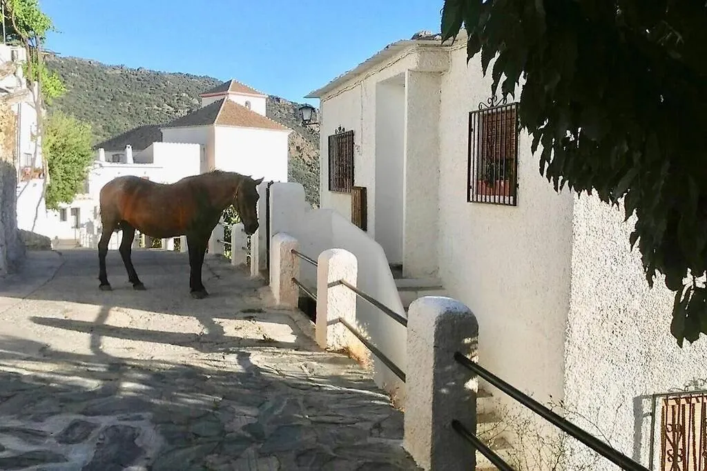 Casa Mirador Bubion, Large Terrace & Amazing Views Apartment  Bubion