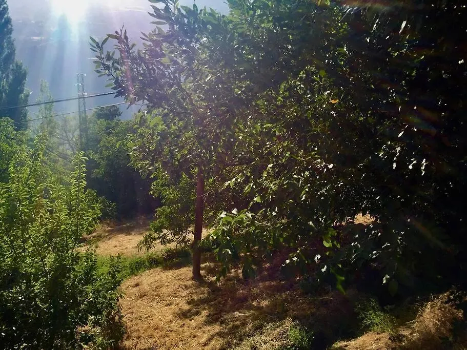 Appartamento Casa Mirador Bubion, Large Terrace & Amazing Views 0*,